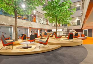 Afbeelding 8 april 2021 - Webinar 'Het brein'
