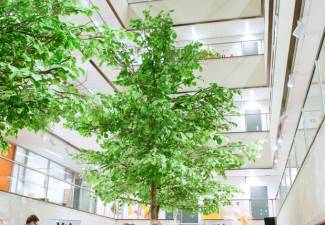 Afbeelding 1 december 2015 -Ploum Lodder Princen