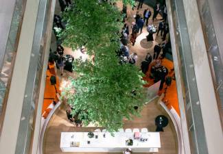 Afbeelding 1 december 2015 -Ploum Lodder Princen